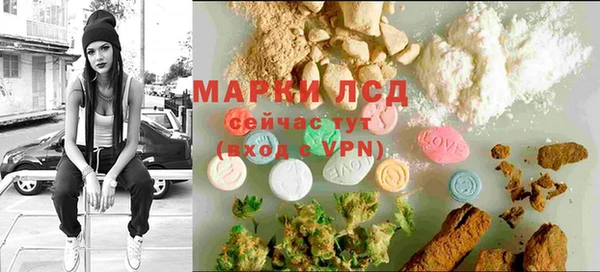 прущие грибы Вязники